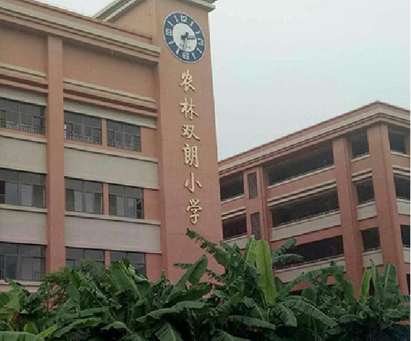 Nonglin Shuanglang primary school